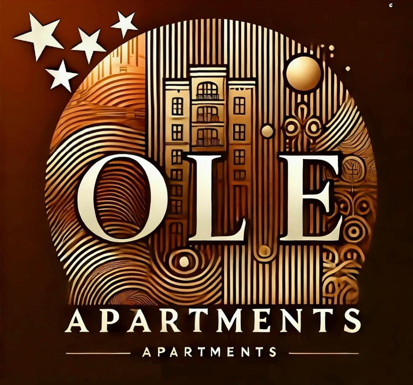 Ole Apartment - Get Your Energy For Free! Coffee And Tea On The House Timişoara Exteriör bild